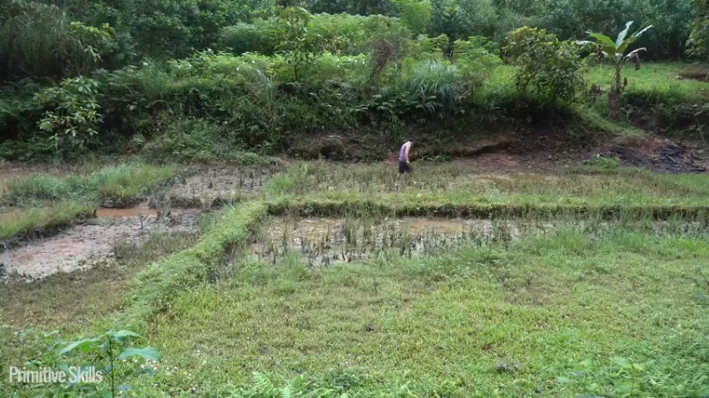 第三季S07打野吃吃吃美味蜗牛11【真人我的世界-空手发展-单人炼铁】