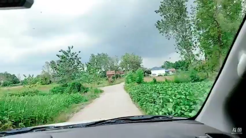 【2021-08-19 13点场】洪湖小肖：复仇者联盟大战黄蜂