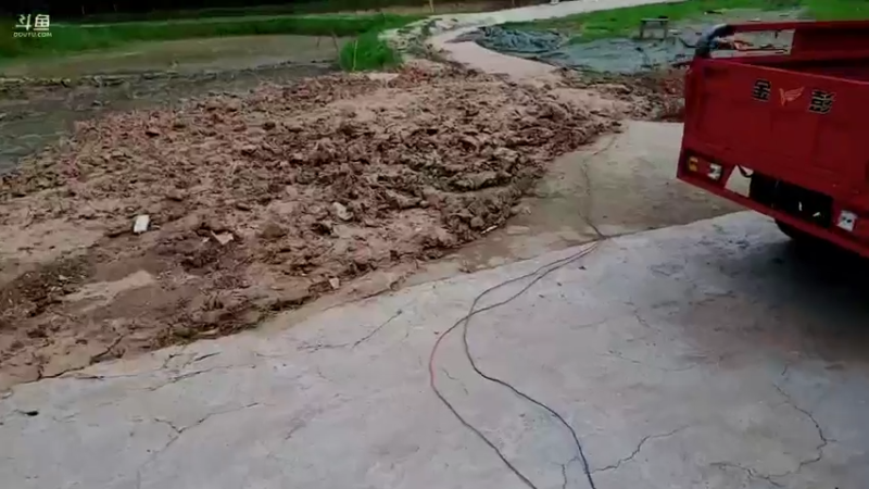 【2021-08-20 15点场】逐梦兄弟：军军的一天天