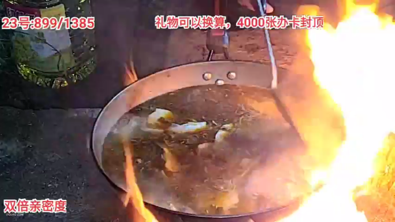 光秃秃的脑袋配上酸菜火锅竹笋蕨菜鱼