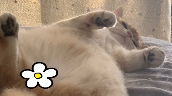 腐烂国度首玩体验