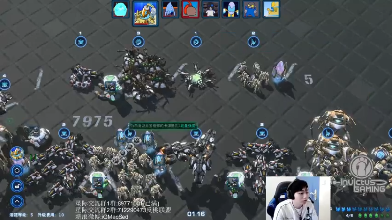 【2021-08-20 13点场】igmacsed：2-3点智力3-5星际5-8只狼