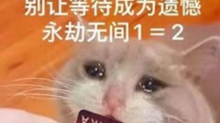 躲猫猫大赛