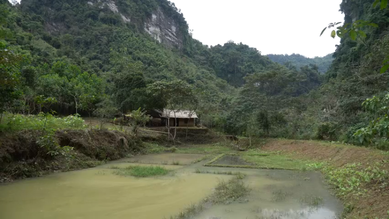 第三季S11制作工具,鲁班锯1真人我的世界-空手发展-单人炼铁麻烦帮忙三连投币哦