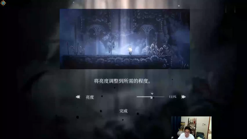 【衣锦夜行】鸭嘴兽的空洞骑士之旅