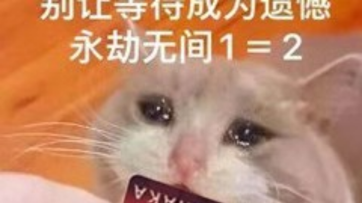 躲猫猫大赛