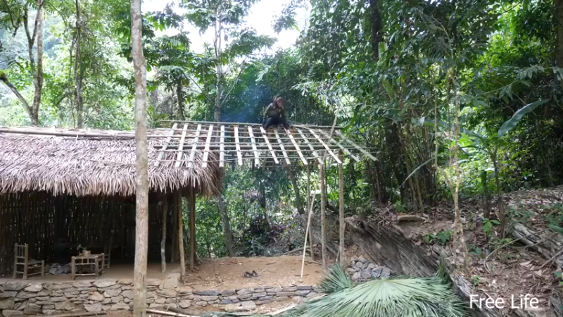 P32新建荒野厨房27妹子独自深入荒野隐居修仙,建设世外桃源投个币吧