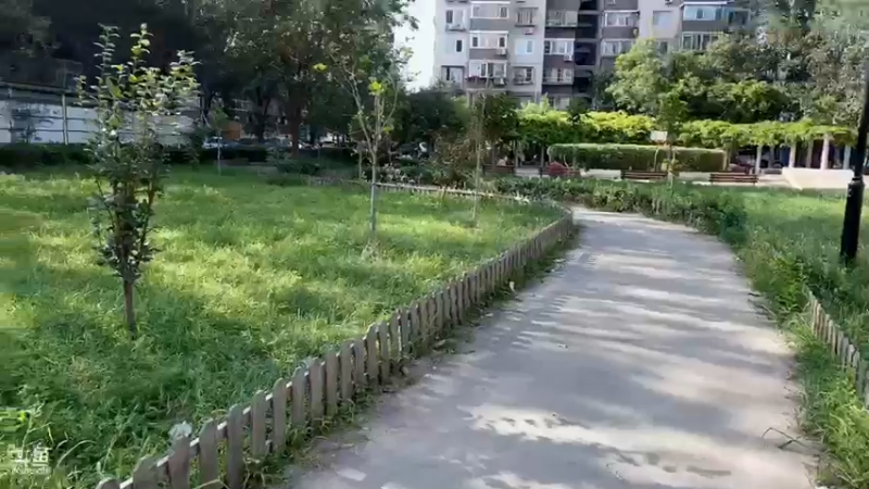 【2021-08-21 16点场】妆吖妆吖妆：Ծ‸ Ծ食堂见 哥哥们