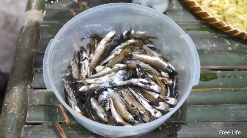 P26丛林捕鱼&烹饪14妹子独自深入荒野隐居修仙,建设世外桃源投个币吧