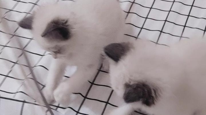 。。。。