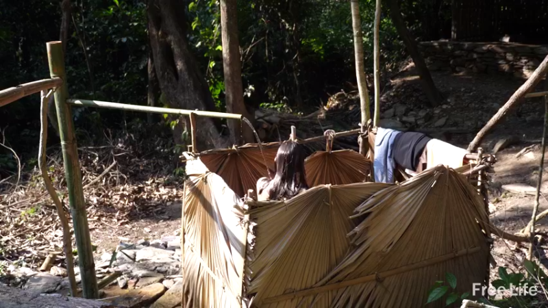 P22货架杂务&沐浴18妹子独自深入荒野隐居修仙,建设世外桃源投个币吧