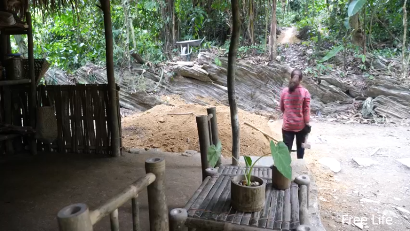 P32新建荒野厨房9妹子独自深入荒野隐居修仙,建设世外桃源投个币吧