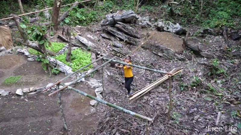 P17田园苗圃10妹子独自深入荒野隐居修仙,建设世外桃源投个币吧