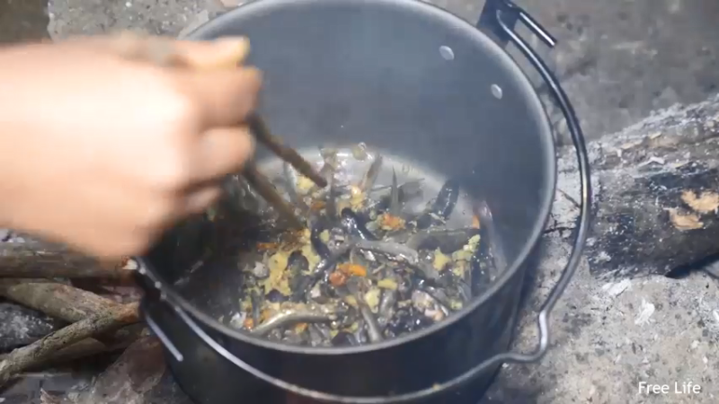 P26丛林捕鱼&烹饪15妹子独自深入荒野隐居修仙,建设世外桃源投个币吧