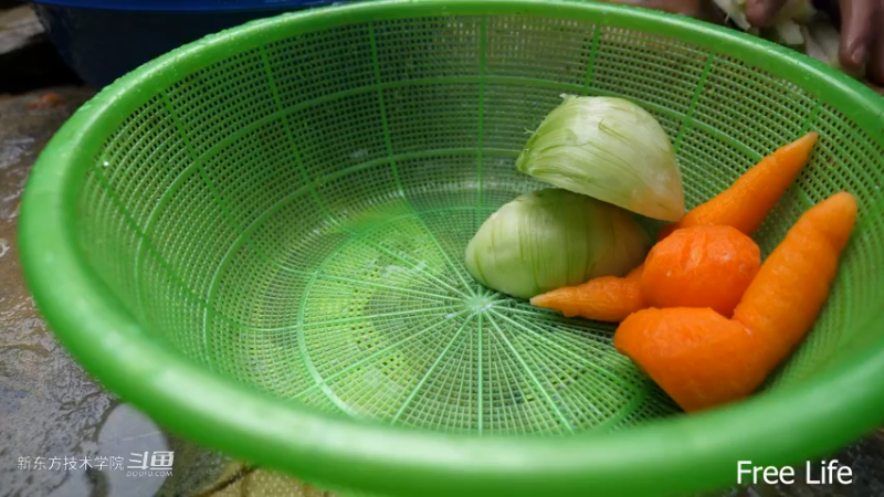 P34用新厨房做顿好吃的22妹子独自深入荒野隐居修仙,建设世外桃源投个币吧