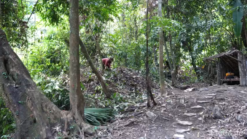 P14小姐姐世外桃源宅基地3妹子独自深入荒野隐居修仙,建设世外桃源投个币吧