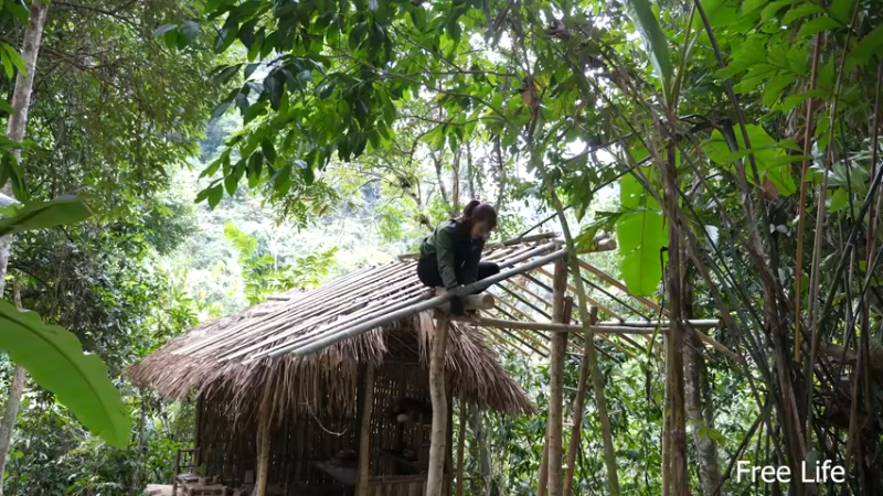 P32新建荒野厨房25妹子独自深入荒野隐居修仙,建设世外桃源投个币吧