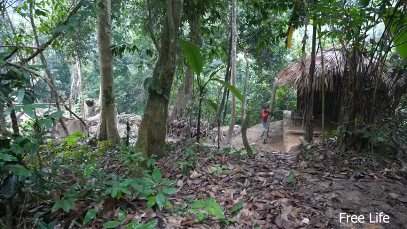 P32新建荒野厨房16妹子独自深入荒野隐居修仙,建设世外桃源投个币吧