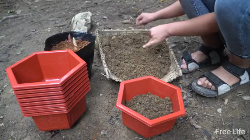 P22货架杂务&沐浴3妹子独自深入荒野隐居修仙,建设世外桃源投个币吧