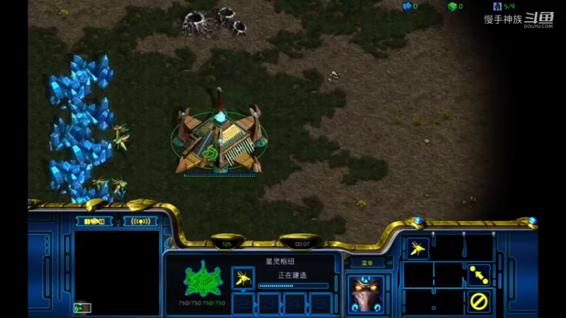 pvt一波打死双开的T2021-08-21