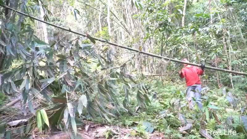 P32新建荒野厨房15妹子独自深入荒野隐居修仙,建设世外桃源投个币吧