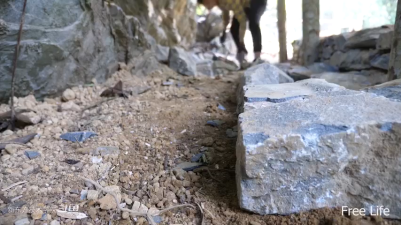 P33传统厨房灶台2妹子独自深入荒野隐居修仙,建设世外桃源投个币吧