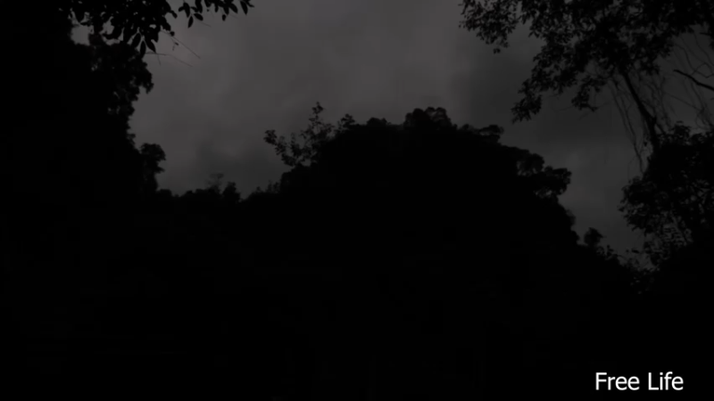 P32新建荒野厨房14妹子独自深入荒野隐居修仙,建设世外桃源投个币吧