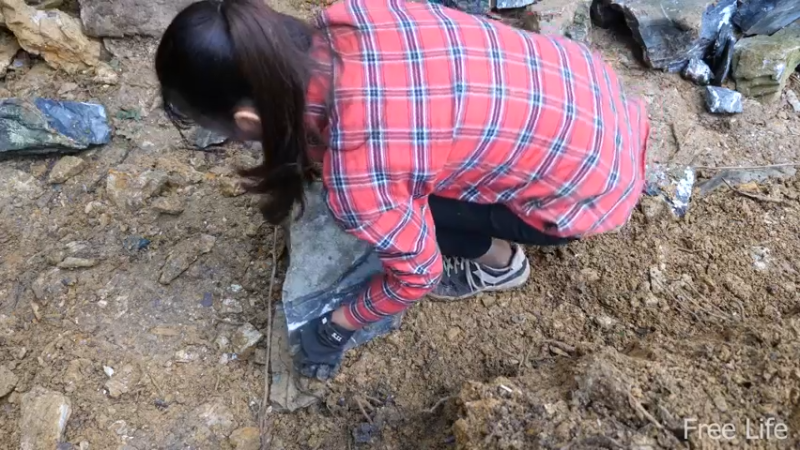 P14小姐姐世外桃源宅基地6妹子独自深入荒野隐居修仙,建设世外桃源投个币吧