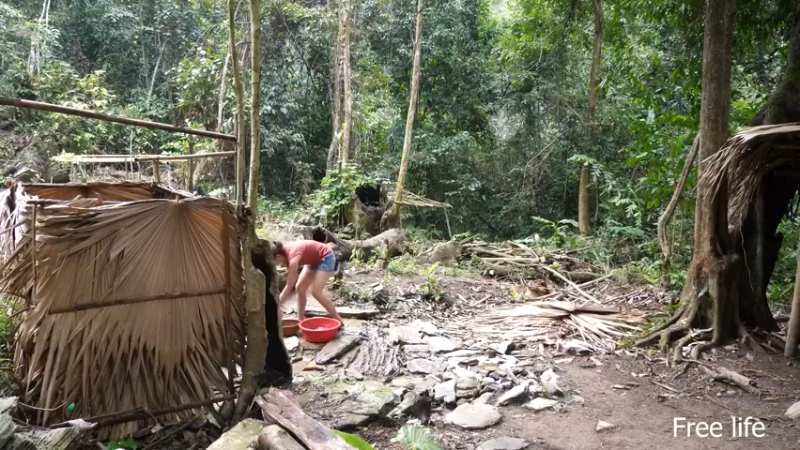 P40制作餐桌生活需要仪式感15妹子独自深入荒野隐居修仙,建设世外桃源投个币吧