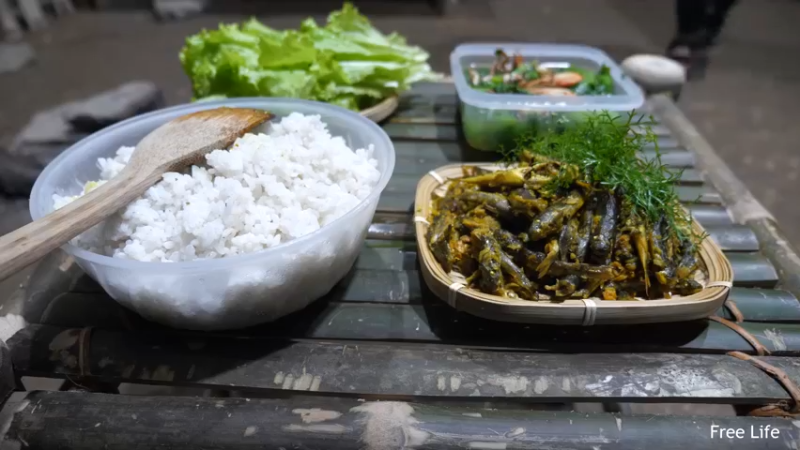 P26丛林捕鱼&烹饪17妹子独自深入荒野隐居修仙,建设世外桃源投个币吧