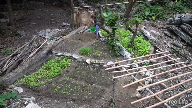 P22货架杂务&沐浴5妹子独自深入荒野隐居修仙,建设世外桃源投个币吧