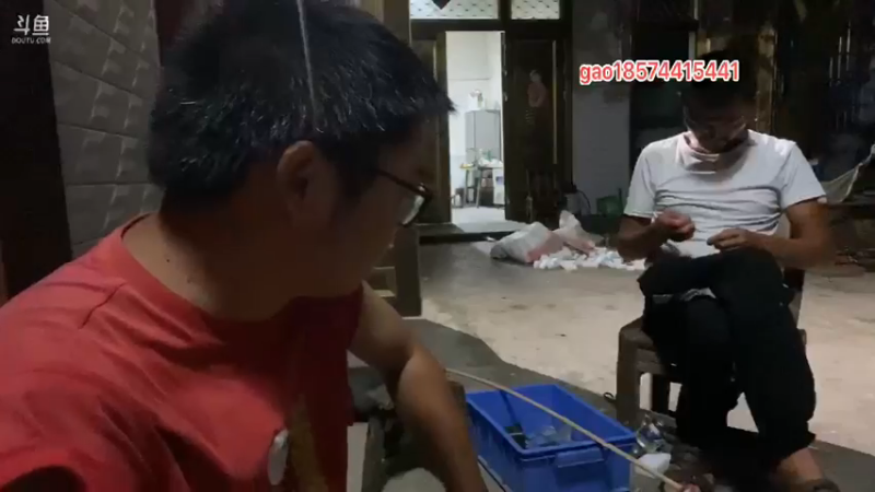 【2021-08-21 19点场】魅力生活i：晚上寻找大牛蛙