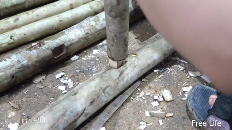 P41家具&民间菜肴3妹子独自深入荒野隐居修仙,建设世外桃源投个币吧