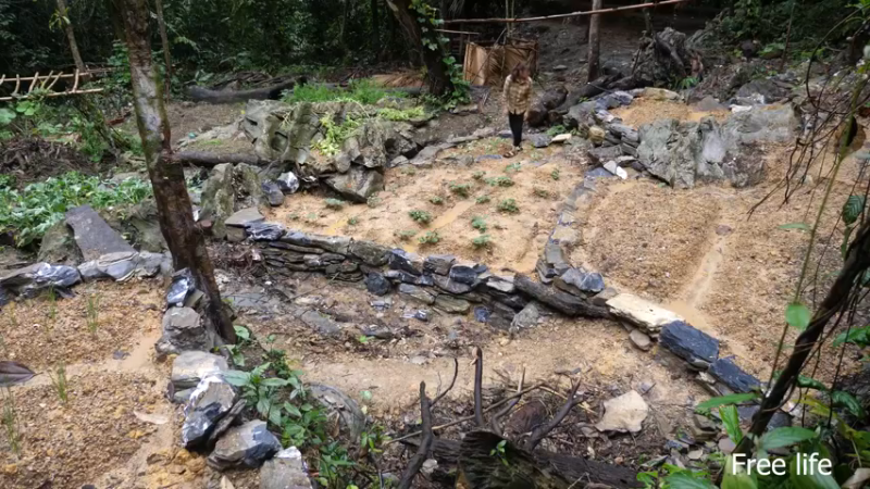 P40制作餐桌生活需要仪式感3妹子独自深入荒野隐居修仙,建设世外桃源投个币吧