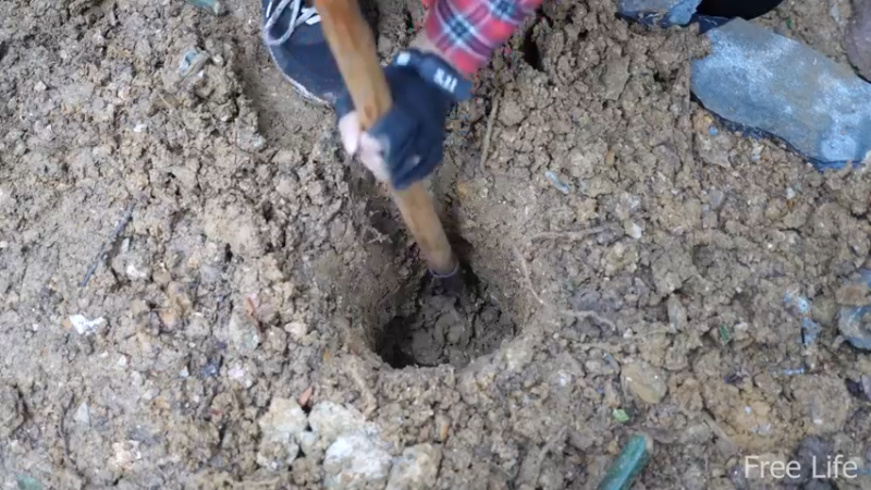 P14小姐姐世外桃源宅基地10妹子独自深入荒野隐居修仙,建设世外桃源投个币吧