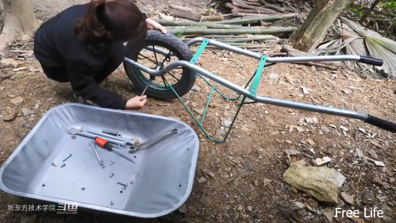 P28切菜板和酸菜5妹子独自深入荒野隐居修仙,建设世外桃源投个币吧