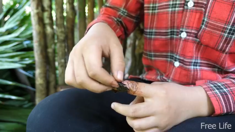 P14小姐姐世外桃源宅基地20妹子独自深入荒野隐居修仙,建设世外桃源投个币吧