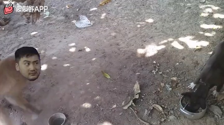 截取精彩视频，粉丝快乐就行