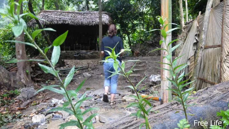 P28切菜板和酸菜16妹子独自深入荒野隐居修仙,建设世外桃源投个币吧