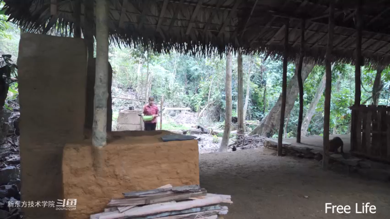 P34用新厨房做顿好吃的23妹子独自深入荒野隐居修仙,建设世外桃源投个币吧