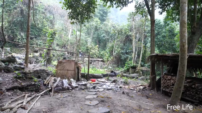 P41家具&民间菜肴7妹子独自深入荒野隐居修仙,建设世外桃源投个币吧