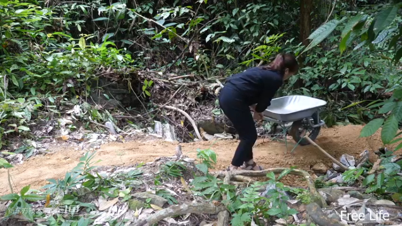 P28切菜板和酸菜11妹子独自深入荒野隐居修仙,建设世外桃源投个币吧