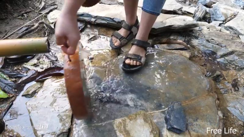 P28切菜板和酸菜21妹子独自深入荒野隐居修仙,建设世外桃源投个币吧