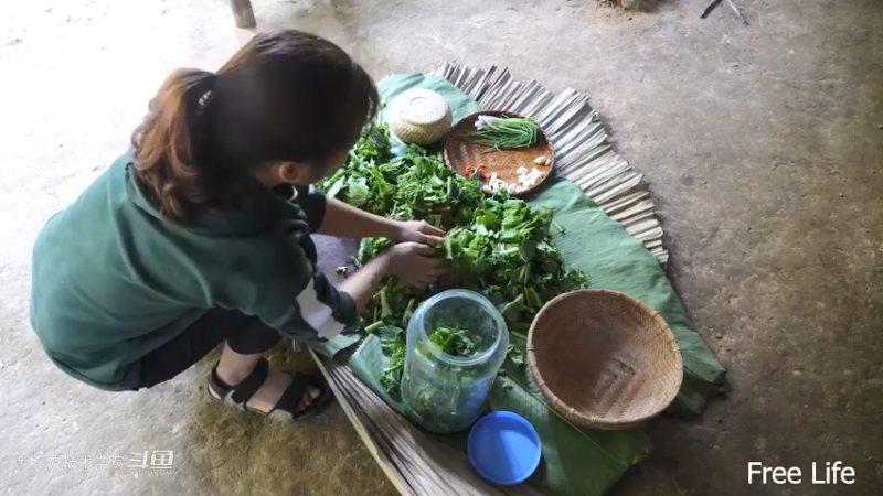 P28切菜板和酸菜27妹子独自深入荒野隐居修仙,建设世外桃源投个币吧