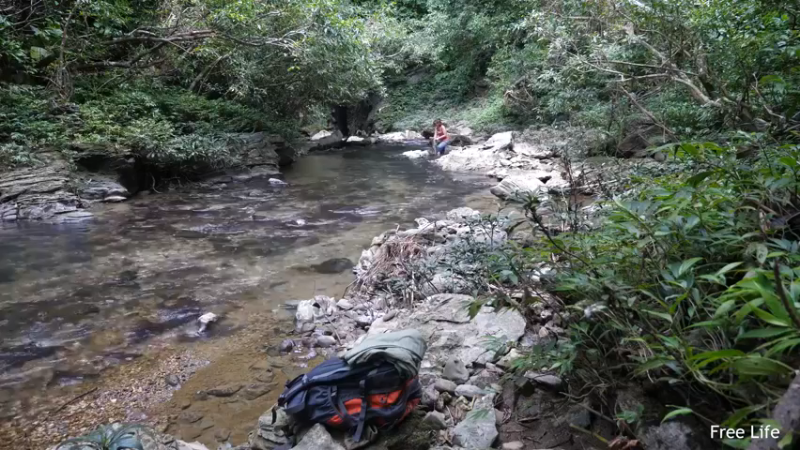 P26丛林捕鱼&烹饪5妹子独自深入荒野隐居修仙,建设世外桃源投个币吧