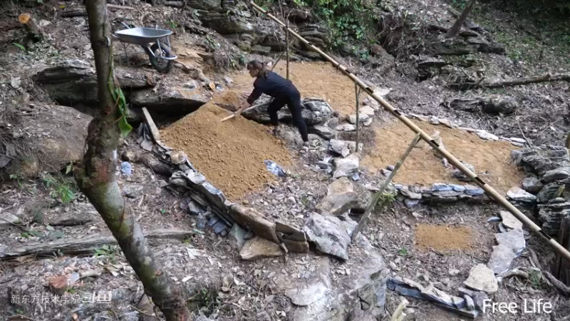 P28切菜板和酸菜13妹子独自深入荒野隐居修仙,建设世外桃源投个币吧