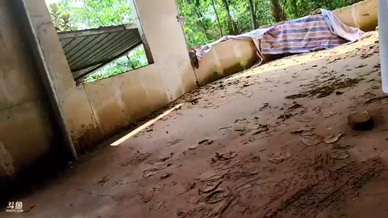 【2021-08-21 13点场】逐梦兄弟：502二台小莉开播了