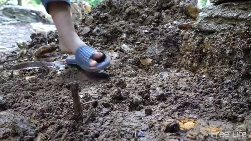 P15花园石板和墙壁4妹子独自深入荒野隐居修仙,建设世外桃源投个币吧