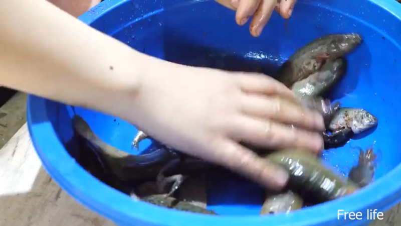 P40制作餐桌生活需要仪式感17妹子独自深入荒野隐居修仙,建设世外桃源投个币吧