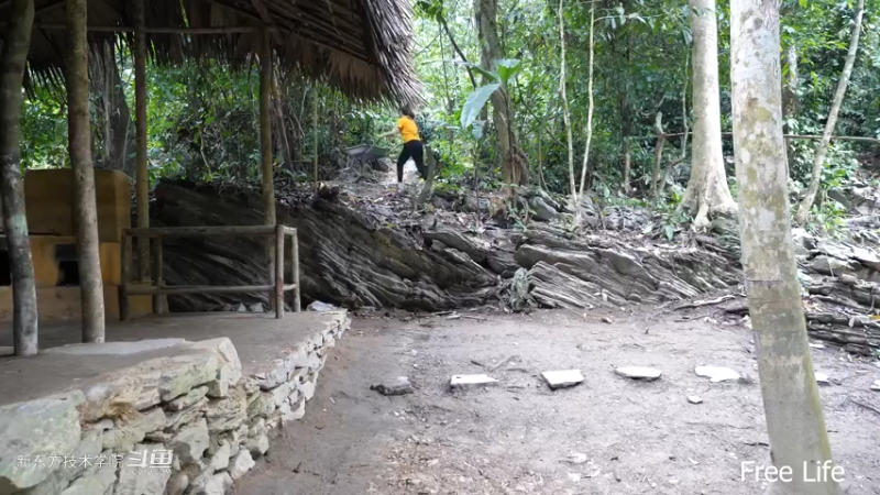 P42庭院升级9妹子独自深入荒野隐居修仙,建设世外桃源投个币吧